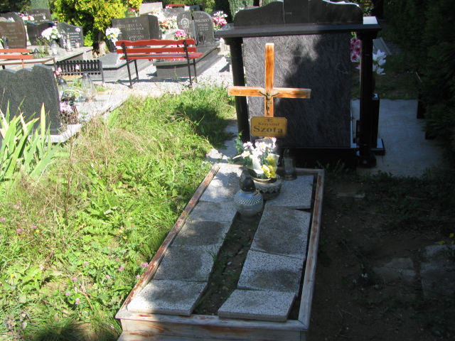 Grób HENRYK SZOTA
