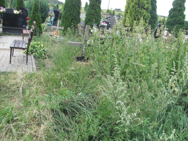 Grób Daniel Paszkiewicz