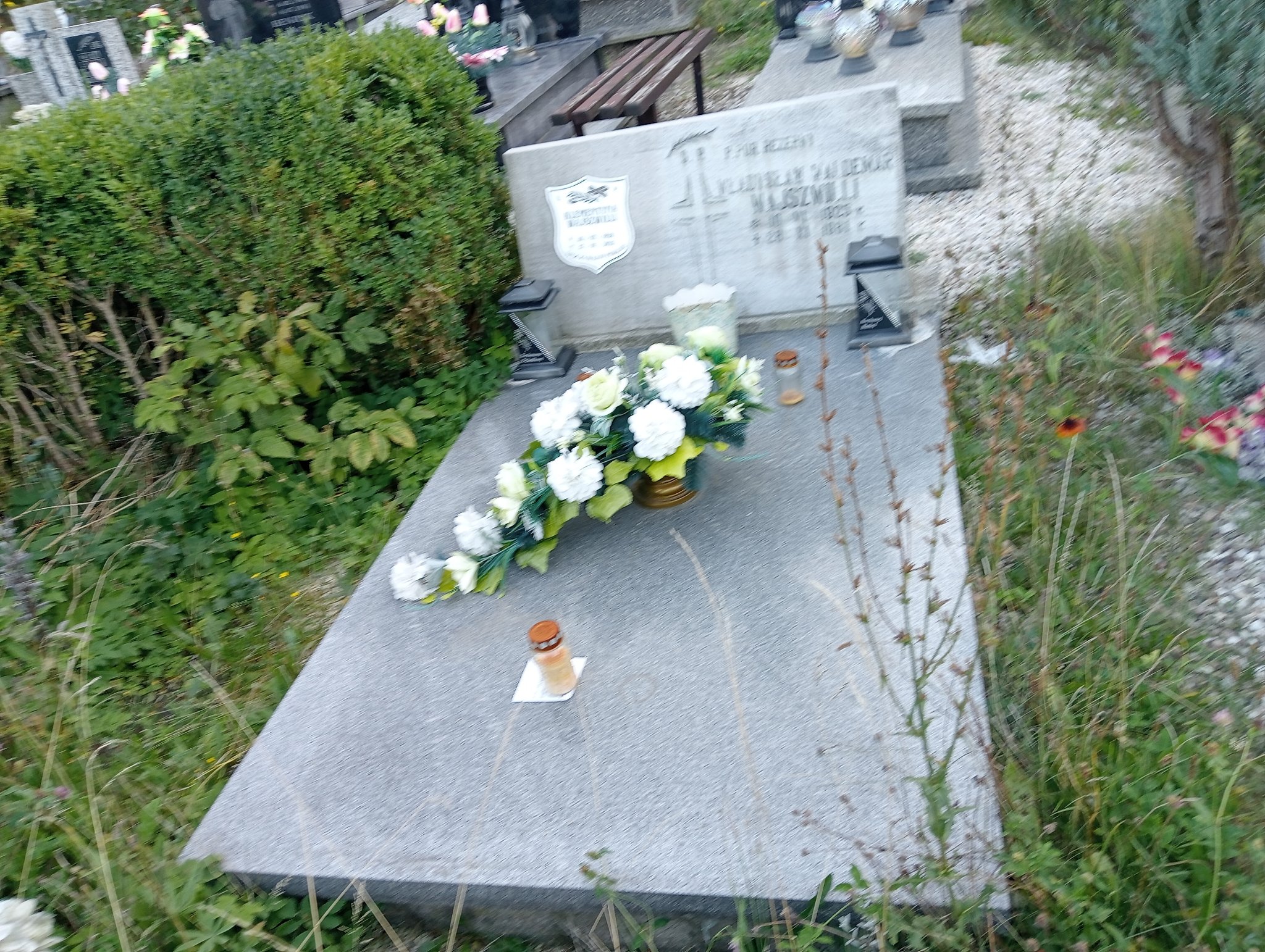Grób WŁADYSŁAW WAJSZWILLI