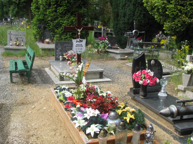 Wacław Szczypior 1939 Bielawa - Grobonet - Wyszukiwarka osób pochowanych