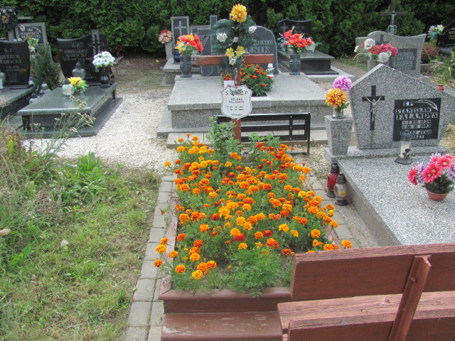 Grób Helena Falandys